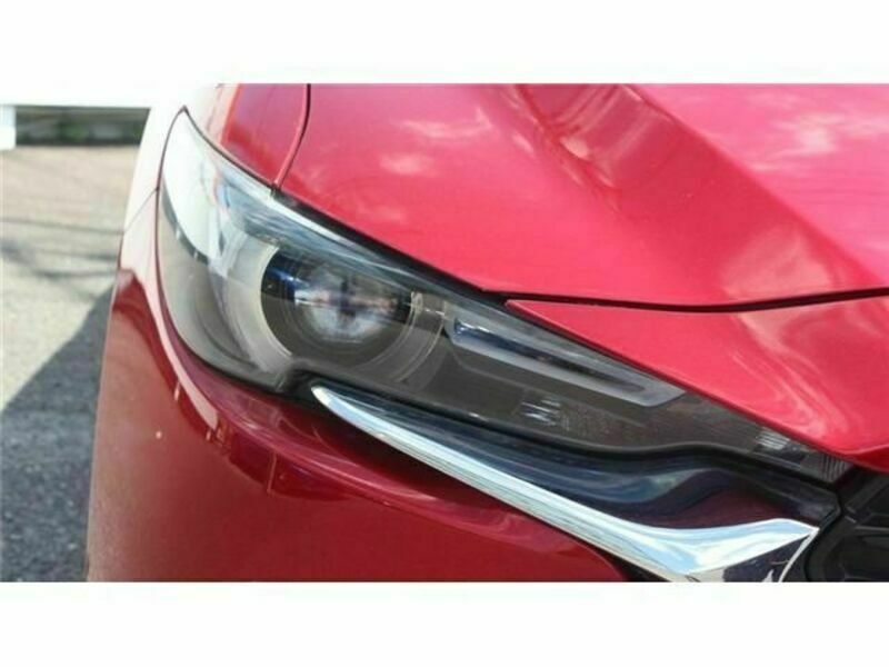 CX-8-10