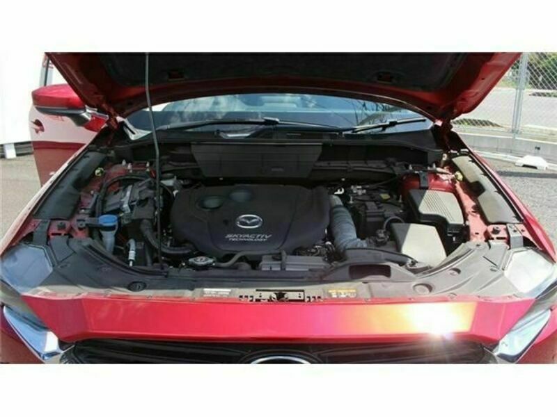 CX-8-17