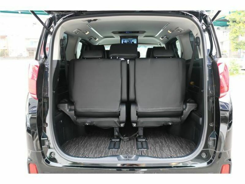 ALPHARD-11