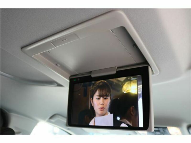 ALPHARD-12