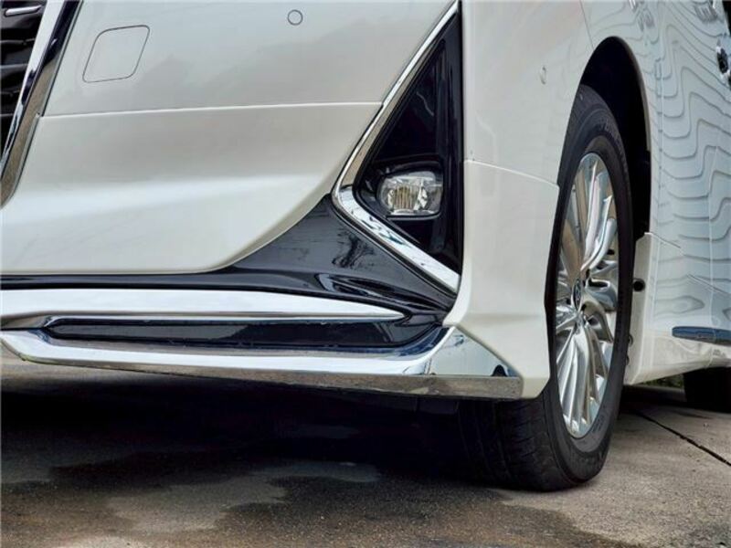 ALPHARD-8
