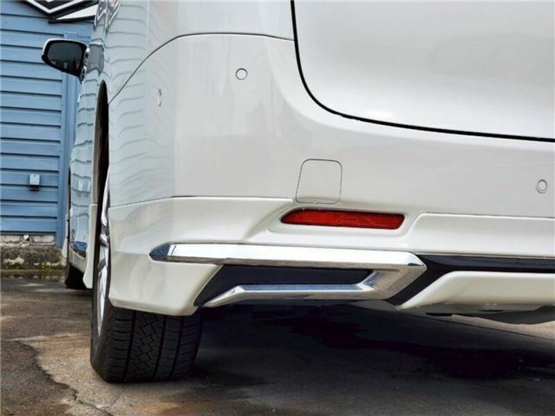 ALPHARD-10