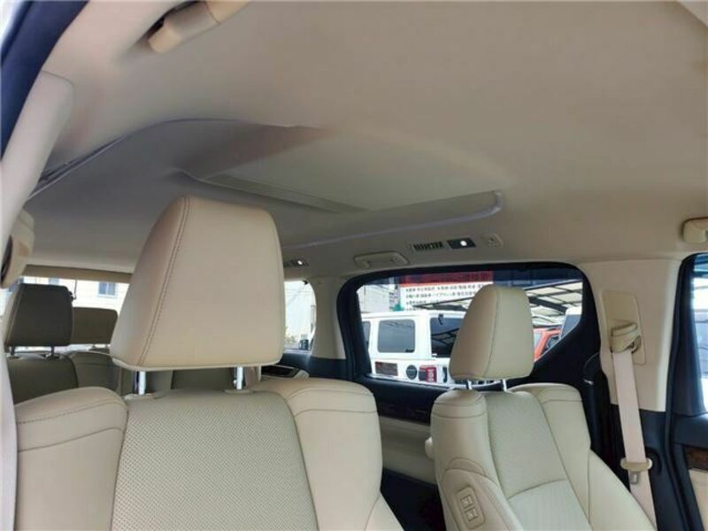 ALPHARD-16