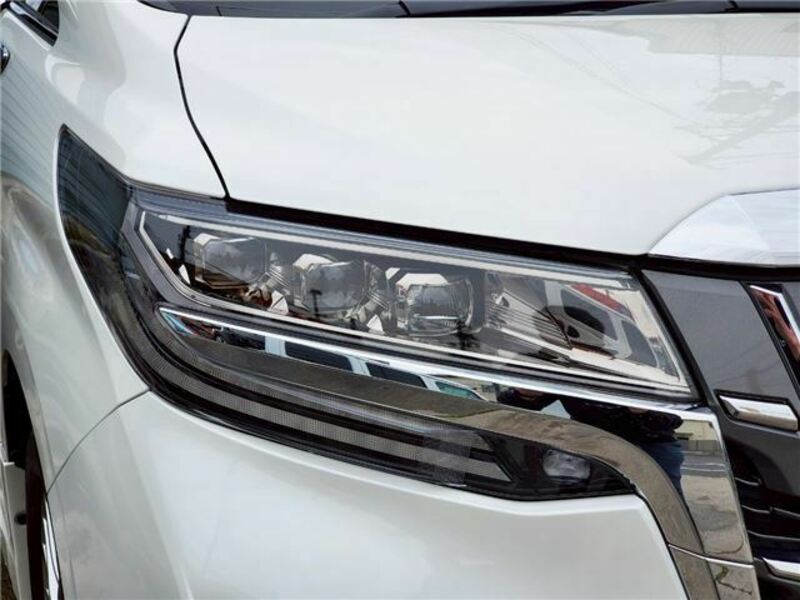ALPHARD-24