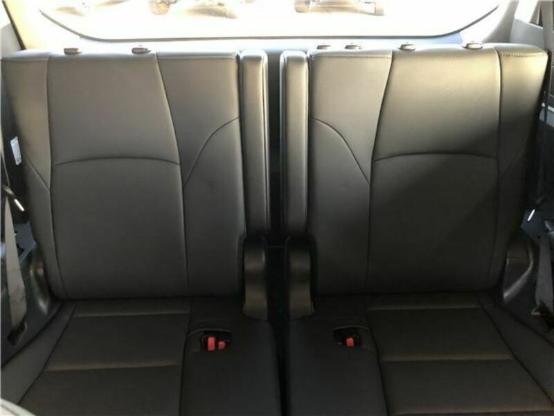 ALPHARD-13