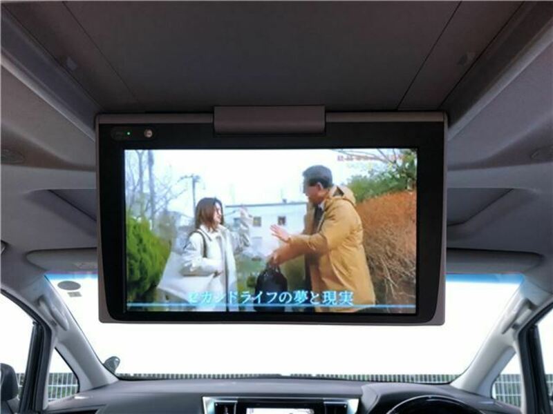 ALPHARD-27