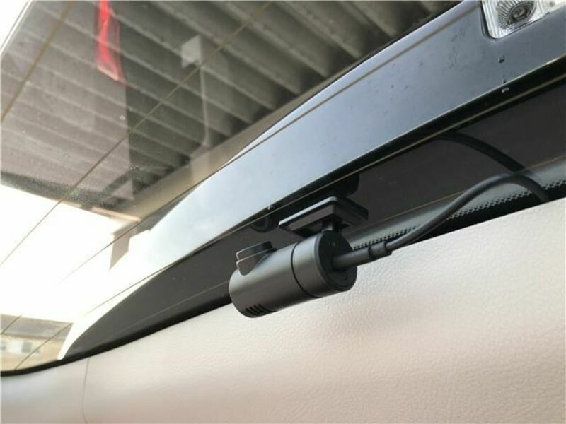 ALPHARD-33