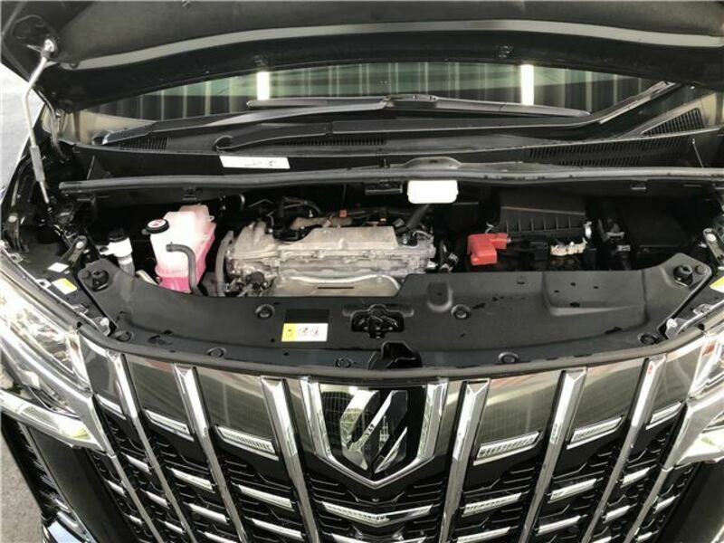ALPHARD-42