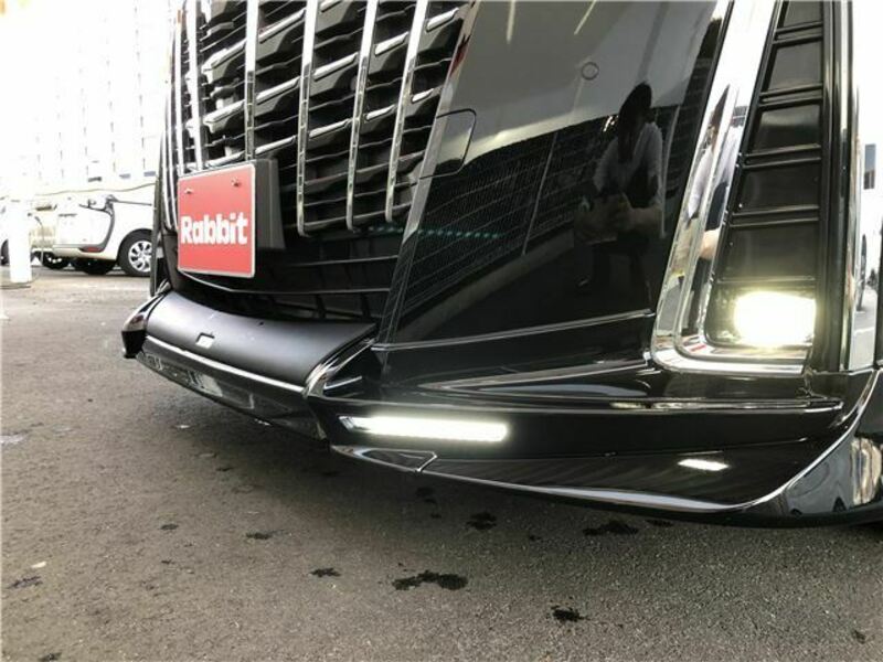 ALPHARD-44
