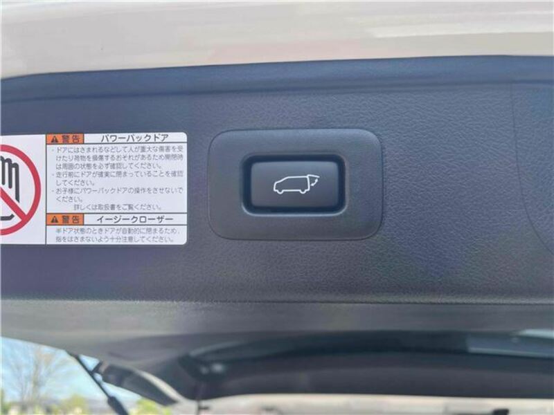 ALPHARD-15