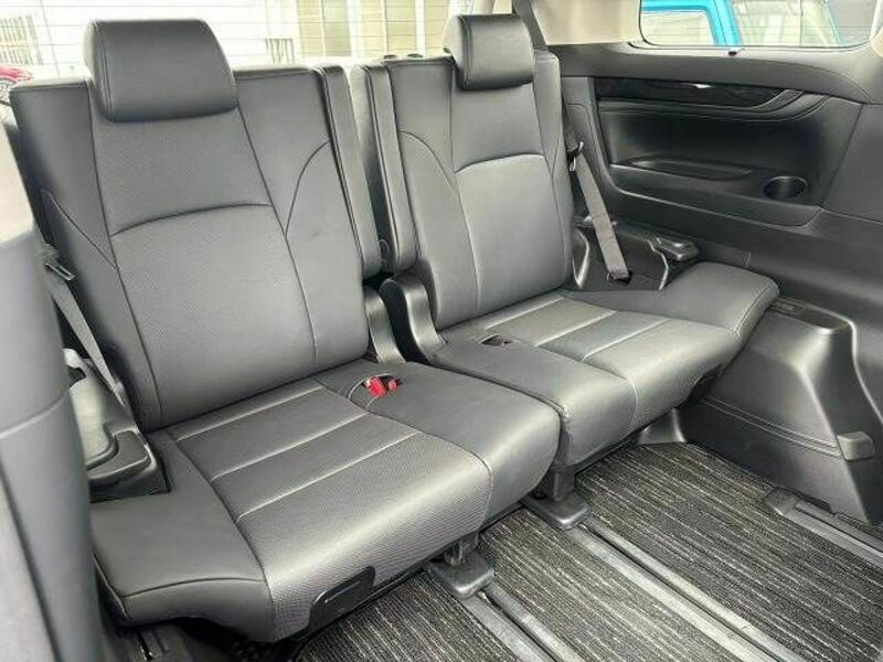 ALPHARD-10