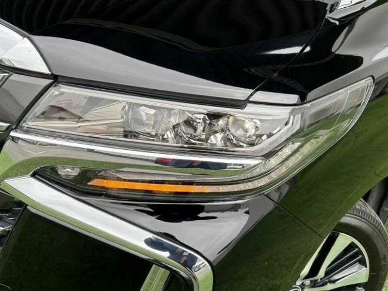 ALPHARD-11