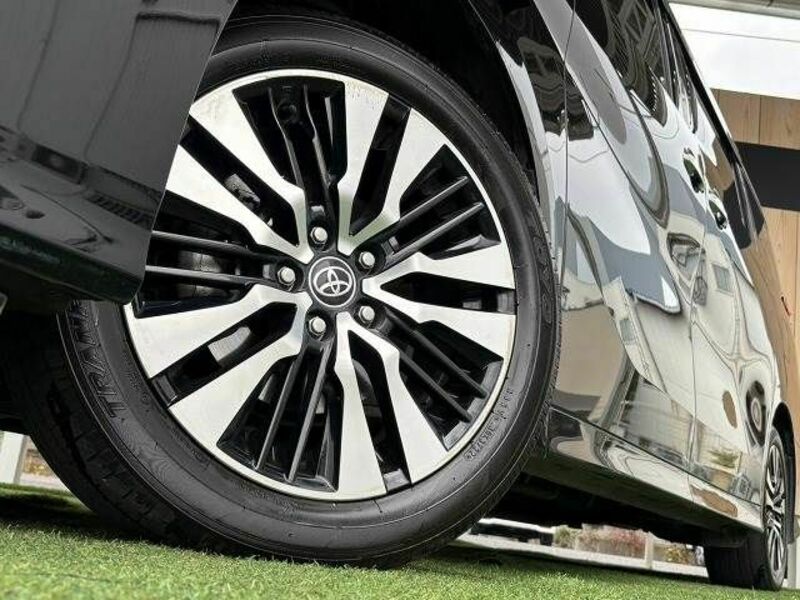 ALPHARD-12