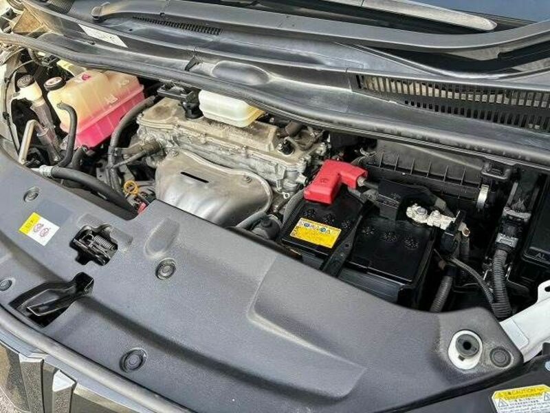 ALPHARD-14