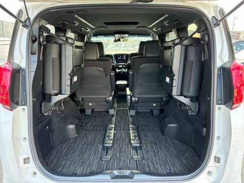 ALPHARD-19