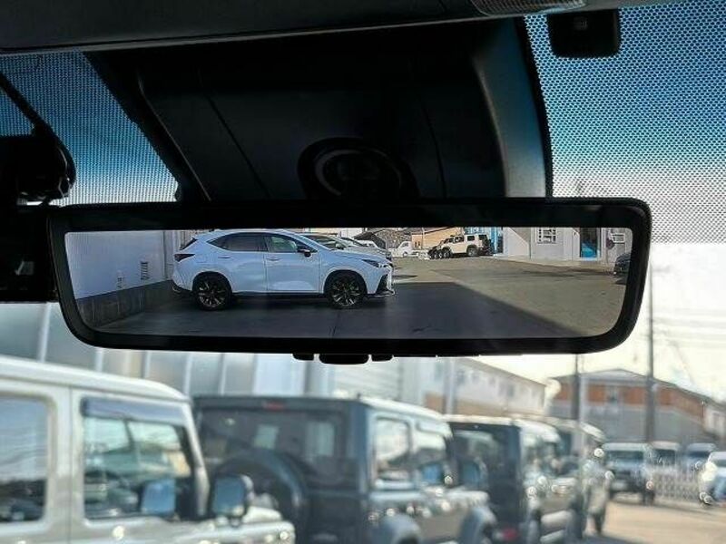 ALPHARD-6