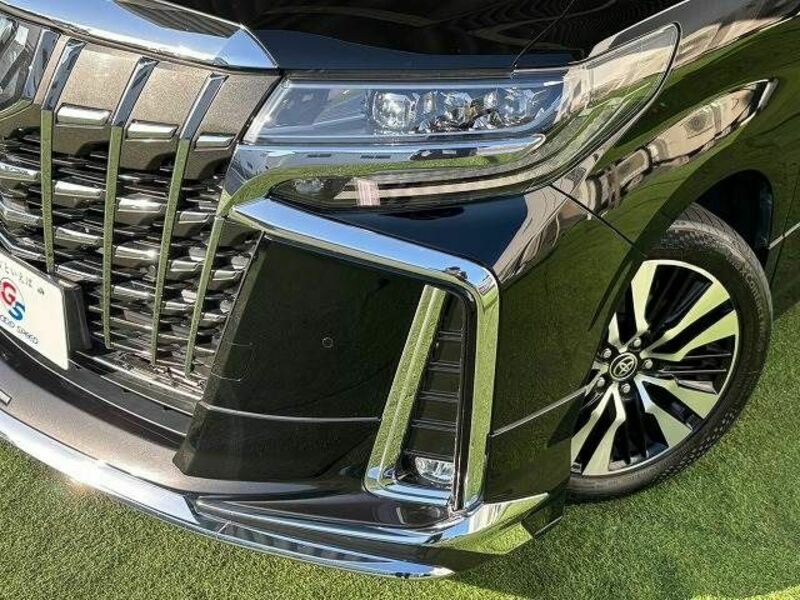 ALPHARD-11