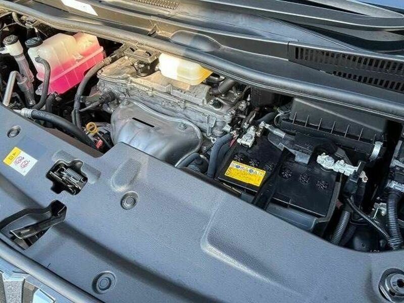 ALPHARD-14