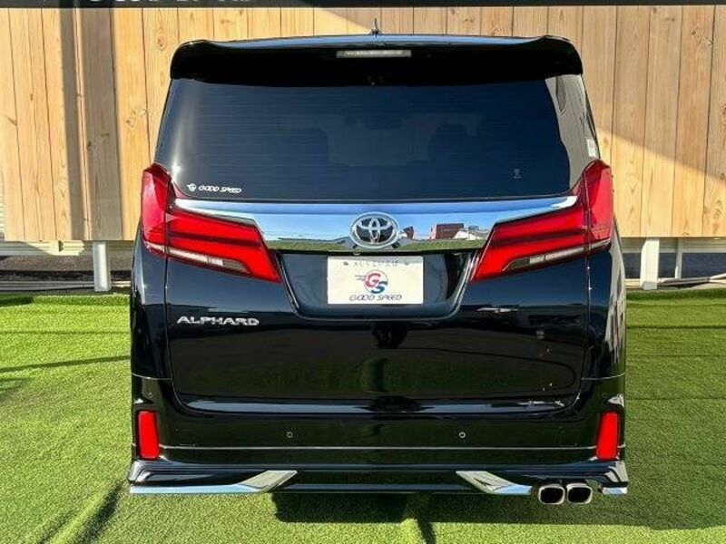 ALPHARD-18