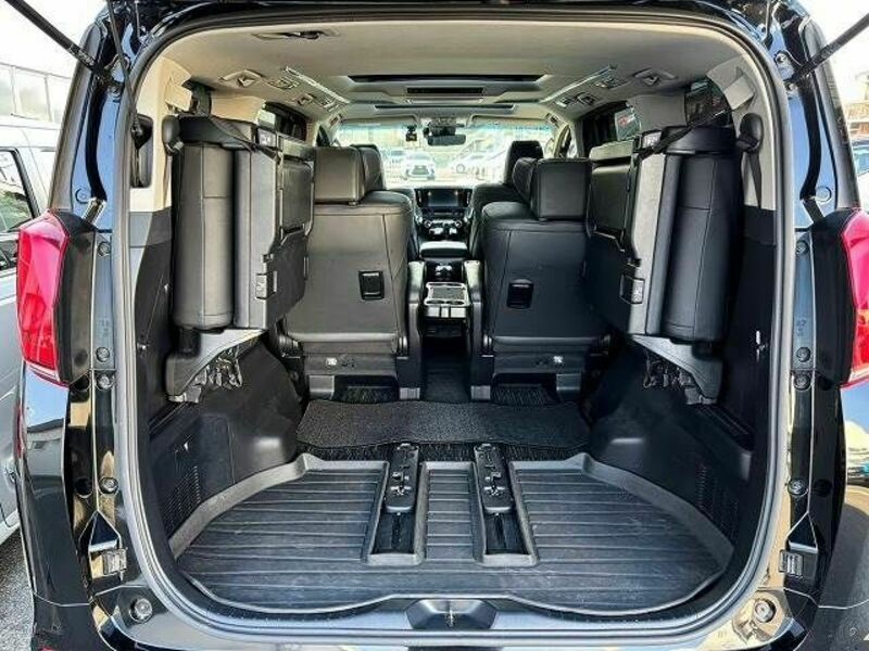 ALPHARD-19