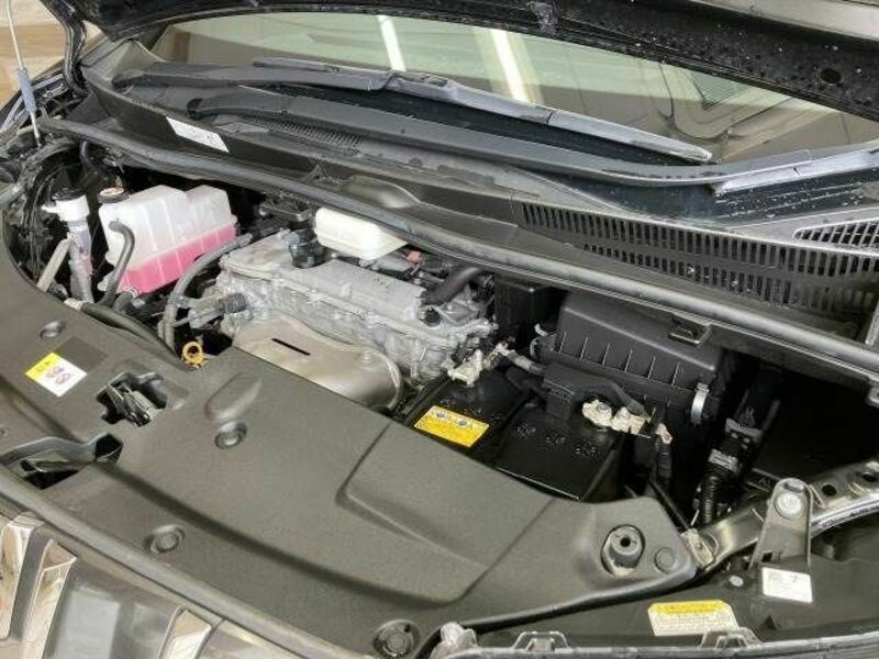 ALPHARD-17