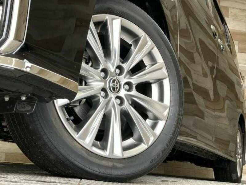 ALPHARD-18