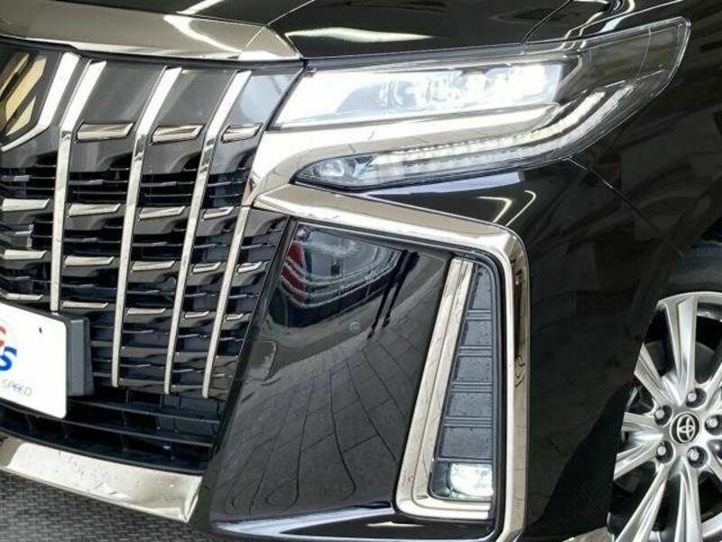 ALPHARD-19