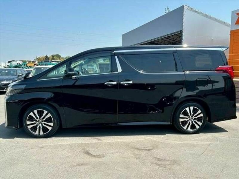 ALPHARD-10