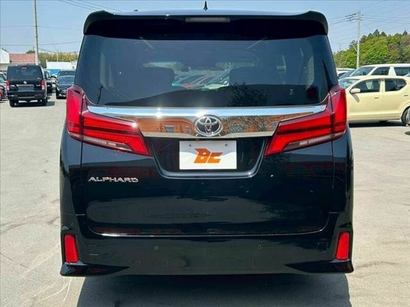ALPHARD-13