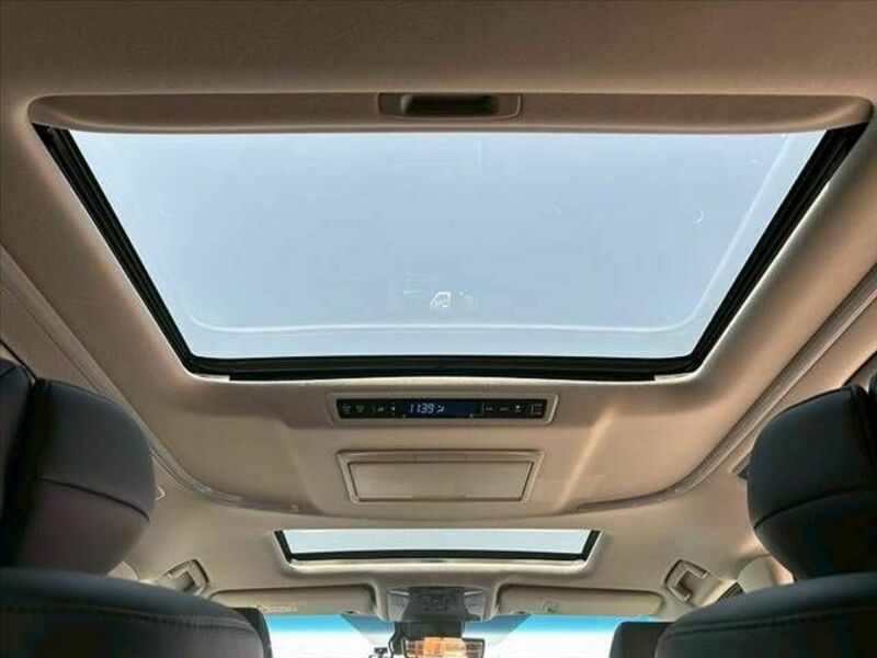 ALPHARD-21