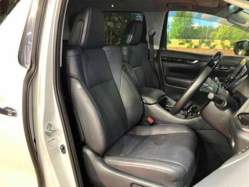 ALPHARD-6