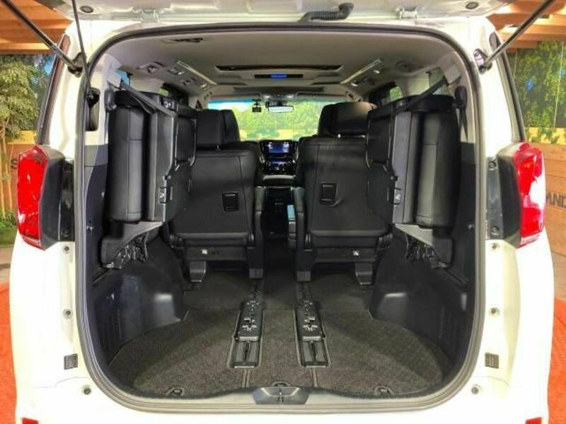 ALPHARD-9