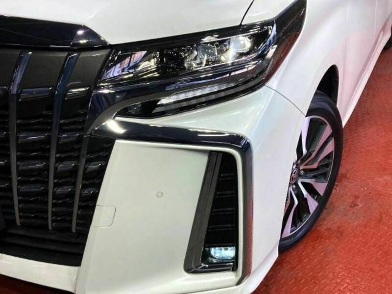 ALPHARD-10
