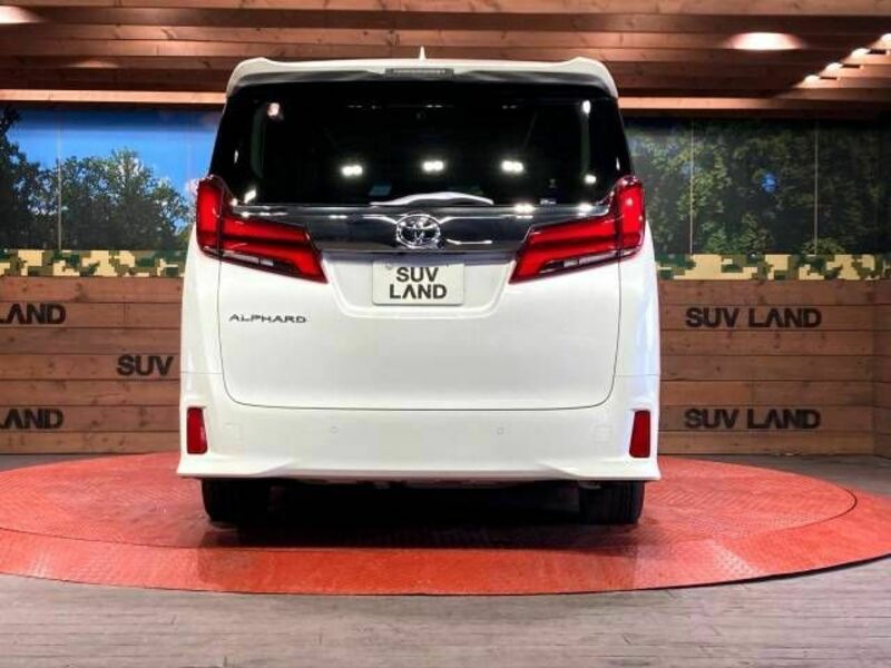 ALPHARD-13