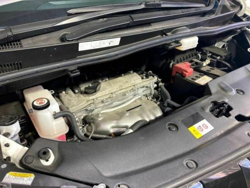 ALPHARD-16