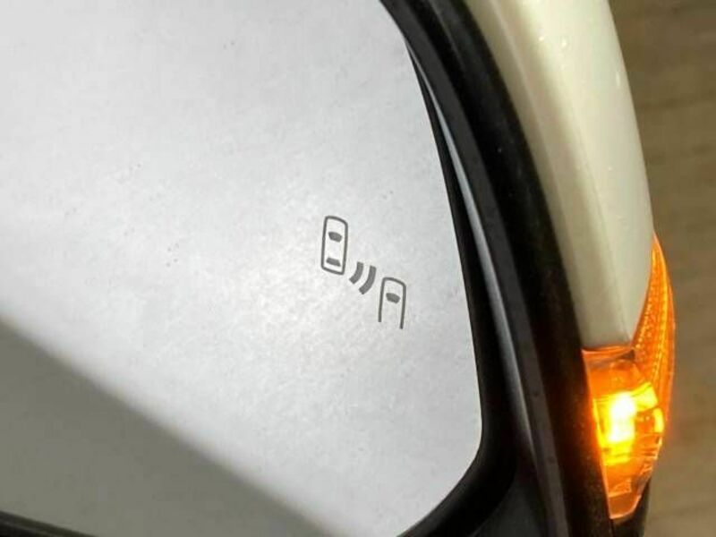 ALPHARD-19