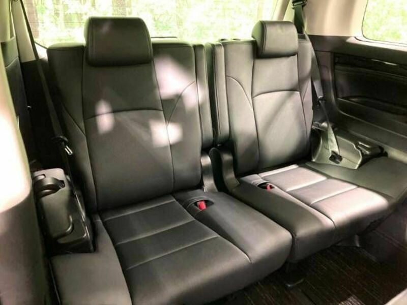 ALPHARD-10