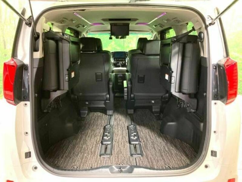 ALPHARD-11