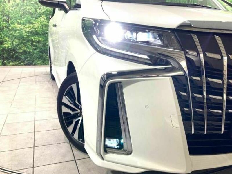 ALPHARD-12