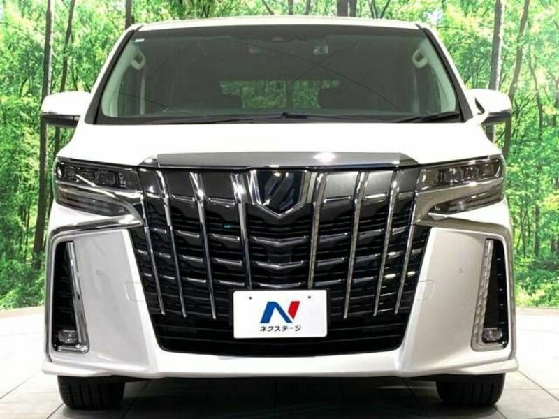 ALPHARD-15