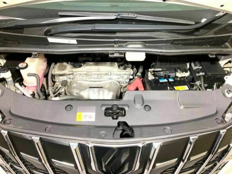 ALPHARD-19