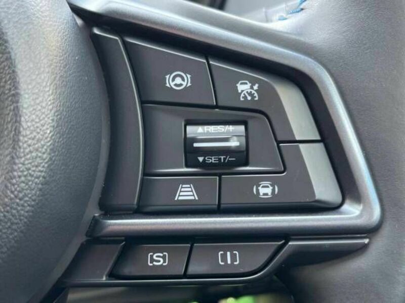 LEVORG-3