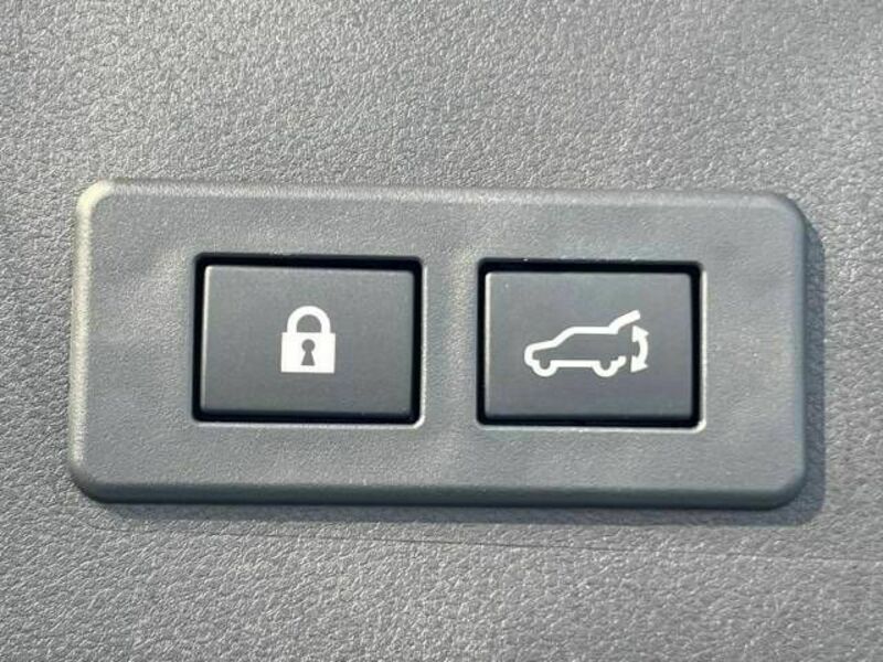 LEVORG-6