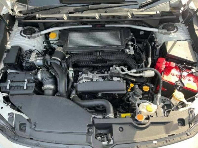 LEVORG-17