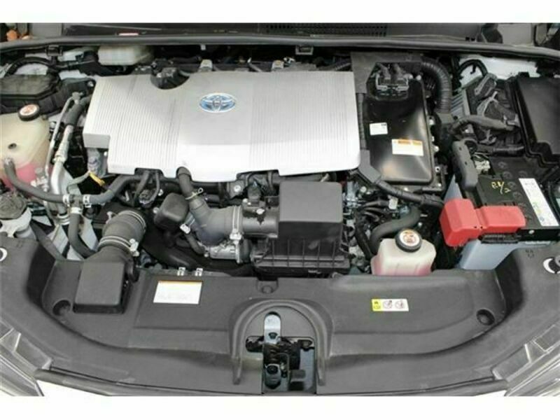 PRIUS-19