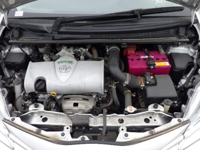 VITZ-12