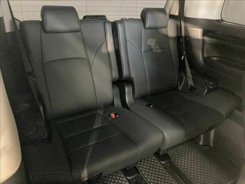 ALPHARD-12