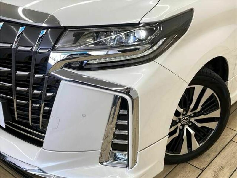 ALPHARD-19