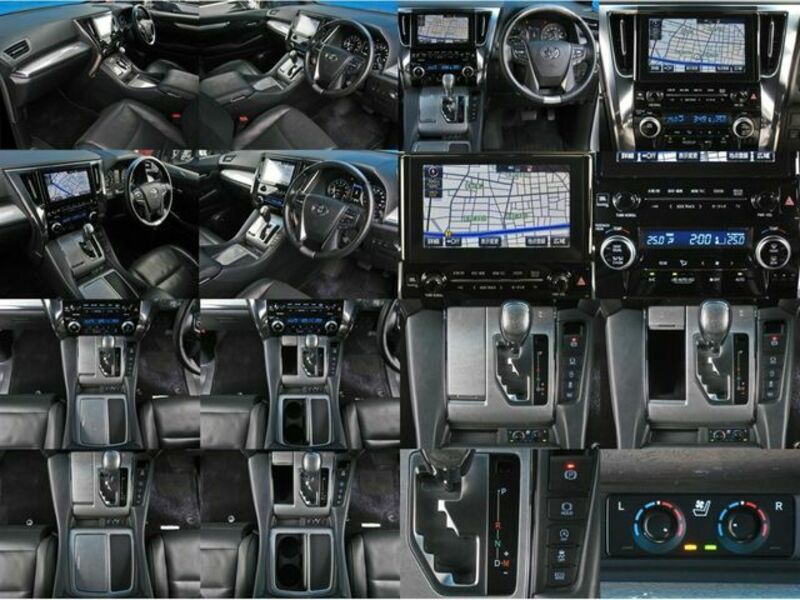 ALPHARD-6