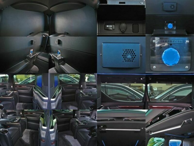 ALPHARD-10